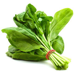 Palak